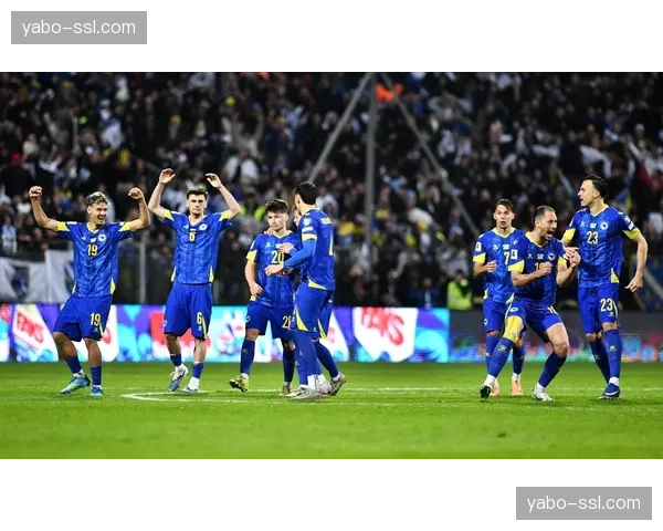 波黑队晋级B组 世预赛附加赛突围的他们渴望在杯赛舞台证明实力